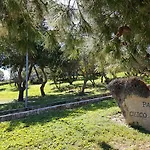 Balai